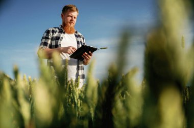 Çalışırken, dijital tabletle. Beyaz gömlekli adam tarlada..