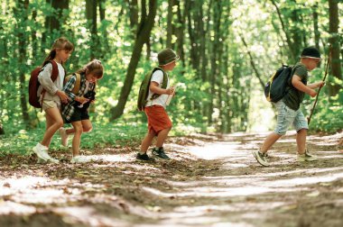 Hafta sonu yürüyüşü. Çocuklar yazın gündüz vakti ormanda..