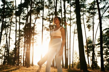 Parlak güneş ışığı, paspas. Kadınlar ormanda yoga egzersizleri yapıyor..