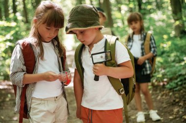 Küçük turistler. Çocuklar yazın gündüz vakti ormanda..