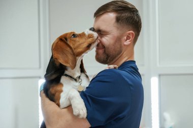 Hayvan yalıyor, adamı öpüyor, sevimli. Erkek veteriner klinikte av köpeğiyle çalışıyor..