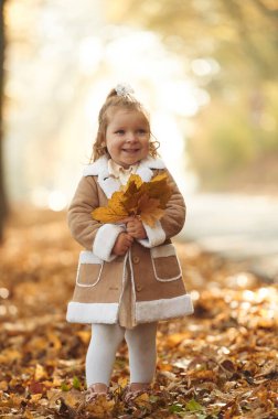 Ellerinde düşen yapraklarla. Tatlı küçük kız sonbahar ormanında..