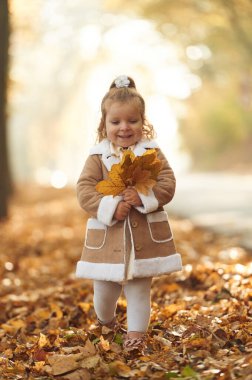 Ellerinde düşen yapraklarla. Tatlı küçük kız sonbahar ormanında..