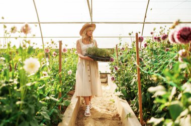 Plastik kaplarda yürüyen ve bir sürü bitki tutan. Güzel kadın serada..