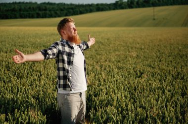 Eller yanlara, özgürlüğü hisset. Beyaz gömlekli adam tarlada..