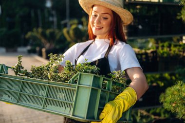 Güneş ışığının altında, bitkileri tutarken. Genç kızıl saçlı kadın bahçeyle ilgileniyor..