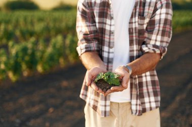 Bitkiyi ellerindeki toprakta gösteriyor. Çiftçi tarım alanında..