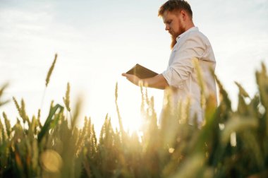 Dijital tabletle büyüme sürecini kontrol ediyorum. Beyaz gömlekli adam tarlada..