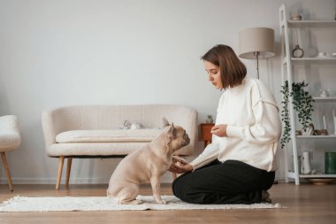 Eğitim süreci, ikramlar. Genç kadın köpeğiyle evde..