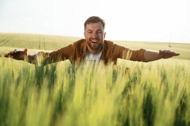 Büyüyen buğdayı kucaklamak, gülümsemek. Yakışıklı adam gün içinde tarım alanında olur..