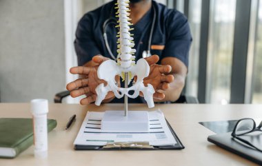Masada insan omurga oyuncağı modeli var. Profesyonel doktor içeride, ofisinde..