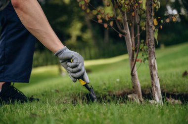 Küçük ağaca göz kulak oluyorum. Bahçede profesyonel bahçıvan var..