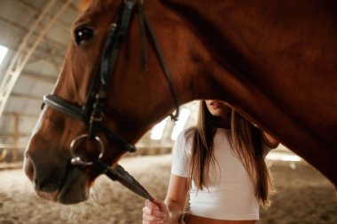 Bir hayvanın arkasında. Güzel genç bir kadın atıyla içeride..