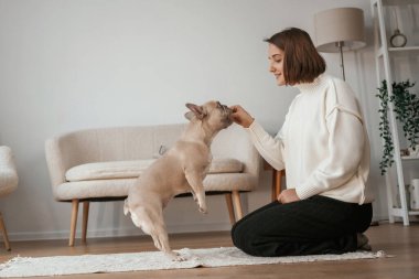 Antrenman, öğretmenlik numaraları. Genç kadın köpeğiyle evde..