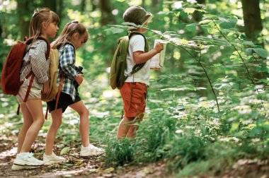 İki kız ve bir erkek. Çocuklar yazın gündüz vakti ormanda..
