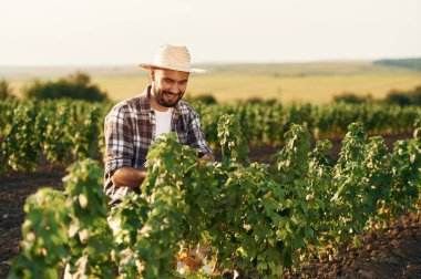Hasır şapkalı. Çiftçi tarım alanında..