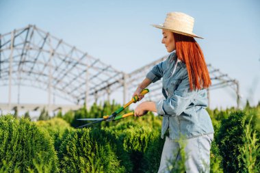 Çalı makasıyla kesiyor. Genç kızıl saçlı kadın bahçeyle ilgileniyor..