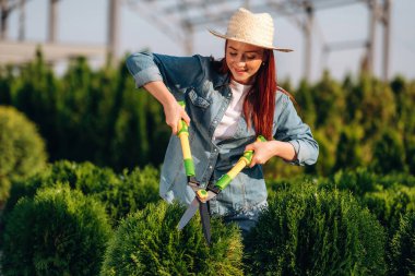 Çalıları kesmek için makas kullanıyor. Genç kızıl saçlı kadın bahçeyle ilgileniyor..