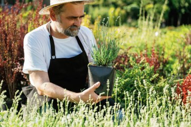 Kıdemli bahçıvan gündüz çalışıyor..