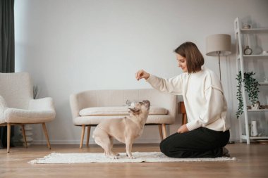 Antrenman, öğretmenlik numaraları. Genç kadın köpeğiyle evde..
