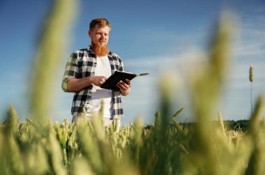 Dijital tabletle kalite kontrol süreci. Beyaz gömlekli adam tarlada..