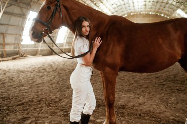 Hayvana elle dokunmak ve kameraya bakmak. Güzel genç bir kadın atıyla içeride..