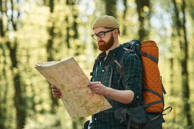 Haritayı okumaya odaklanmış. Sakallı adam gündüz vakti ormandadır..