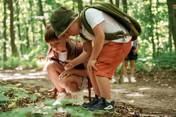 Oturup bitkilere bakıyorum. Çocuklar yazın gündüz vakti ormanda..