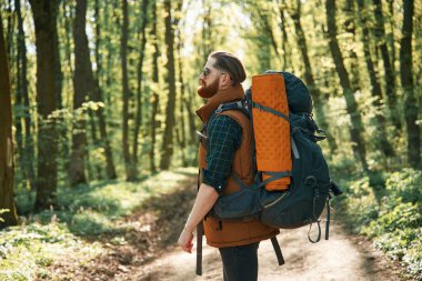 Sıcak havanın ve doğanın tadını çıkarıyorum. Sakallı adam gündüz vakti ormandadır..