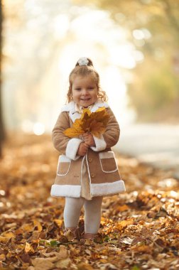 Ellerinde düşen yapraklarla. Tatlı küçük kız sonbahar ormanında..