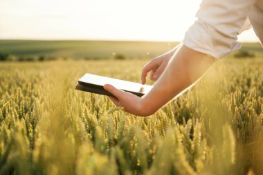 Siyah dijital tablet. Beyaz gömlekli adam tarlada..