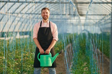 Yeşil sulama kutusu ellerinde. Seradaki adam bitkilerle çalışıyor..