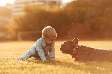 Güneş ışığıyla aydınlatılmış. Sahada köpekle sevimli küçük bir çocuk var..