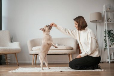 Antrenman, öğretmenlik numaraları. Genç kadın köpeğiyle evde..