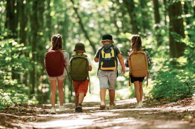 Yürüyüş kavramı. Çocuklar yazın gündüz vakti ormanda..