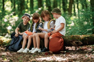 Kamera ve su şişesiyle oturuyor. Çocuklar yazın gündüz vakti ormanda..