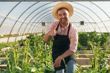Ön manzara. Seradaki adam bitkilerle çalışıyor..