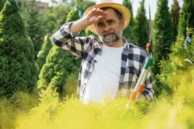 Yorgunum, ara verdim. Kıdemli bahçıvan gündüz çalışıyor..