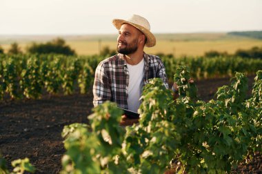 Hasır şapkalı. Çiftçi tarım alanında..
