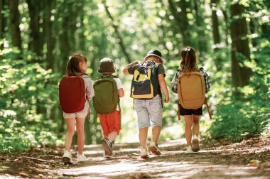 Yürüyüş kavramı. Çocuklar yazın gündüz vakti ormanda..