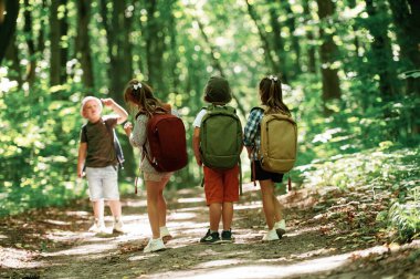 Arkadan bak. Çocuklar yazın gündüz vakti ormanda..