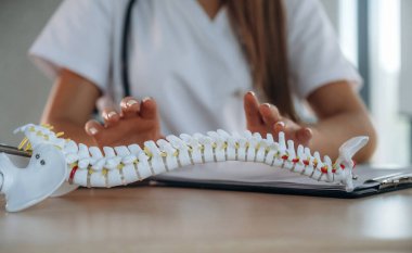 Eller omurga modelinde. Klinikteki profesyonel kadın doktor..