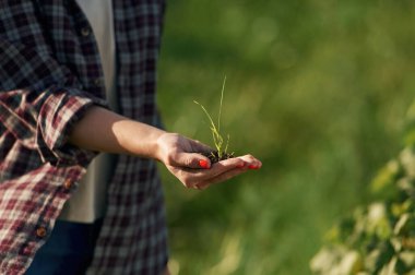 Toprağın ve bitkinin görüntüsünü kapat. Gündüz vakti güzel tarla tarlasında genç bir kadın var..