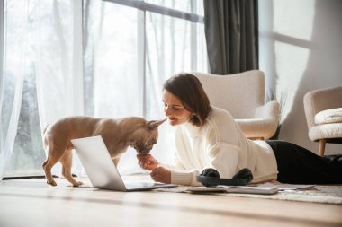 Laptop kullanıyorum. Genç kadın köpeğiyle evde..