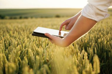 Siyah dijital tablet. Beyaz gömlekli adam tarlada..