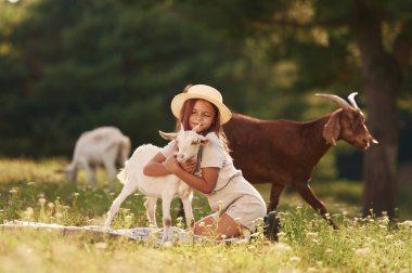 Hayvanı kucaklamak. Küçük kız tarlada keçilerle birlikte..