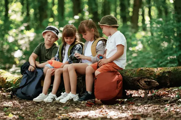 Kamera ve su şişesiyle oturuyor. Çocuklar yazın gündüz vakti ormanda..