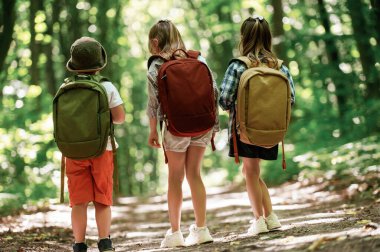 İki kız ve bir erkek. Çocuklar yazın gündüz vakti ormanda..