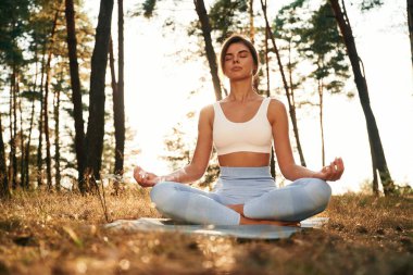 Huzur ve sessizlik, oturmak. Kadınlar ormanda yoga egzersizleri yapıyor..