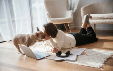 Şirin pug sahibine bakıyor. Evde dizüstü bilgisayarı olan genç bir kadın..